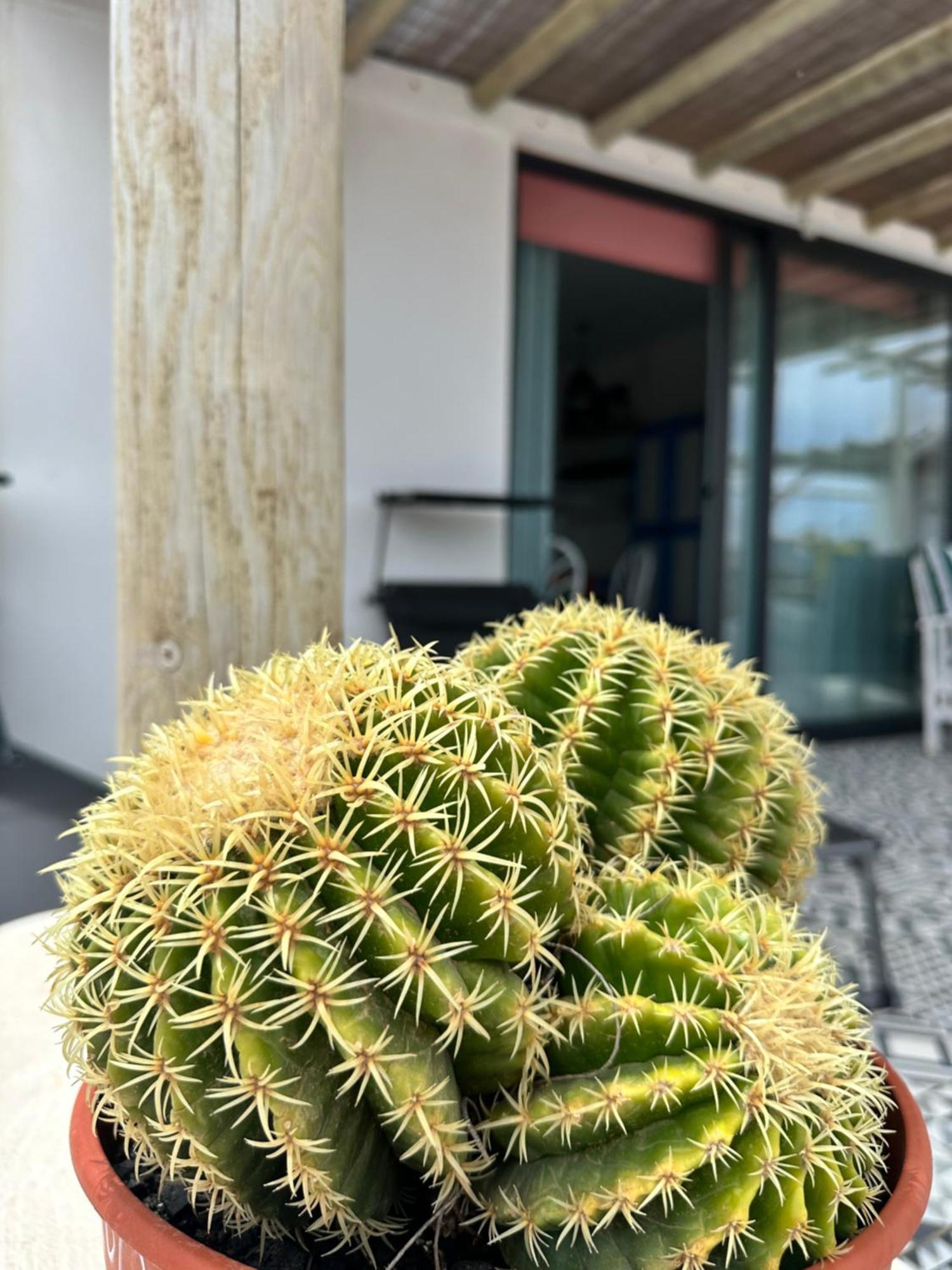 Casita Tiare Lajares Apartment Екстериор снимка